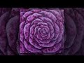 Acrylic painting rose succulent abstract painting demo by studiosilvercreek