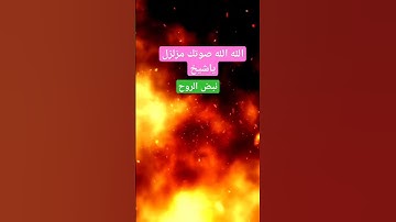 ياسر الدوسري سورة الأعراف* الآية 50 #نبض #سبحان الله