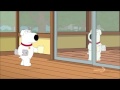 Family Guy - Reflection of Brian