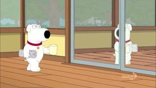 Family Guy - Reflection of Brian Resimi