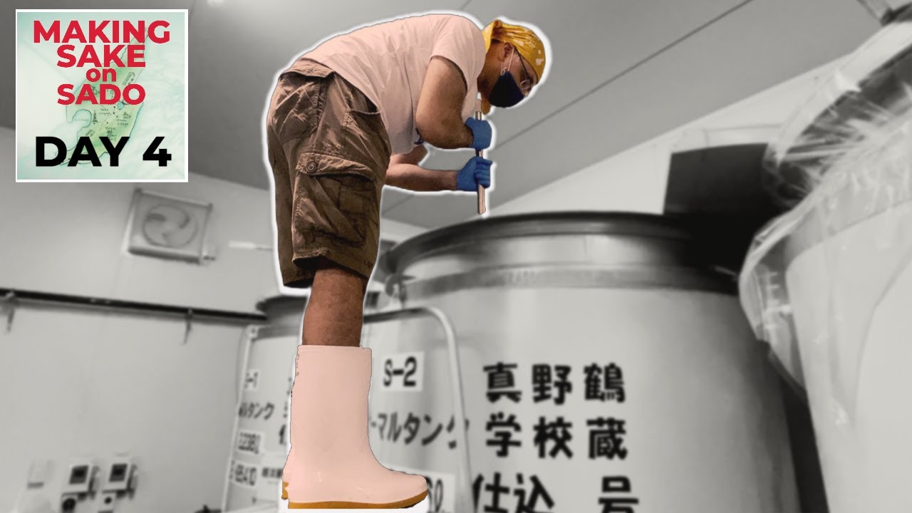 Я приготовил японское саке: ДЕНЬ 4 - Начало процесса брожения