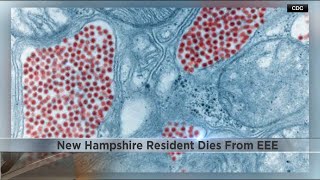 New Hampshire Resident Dies After Testing Positive For Mosquito-Borne Encephalitis Virus