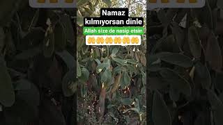 Namaz Kılmıyorsan Dinle