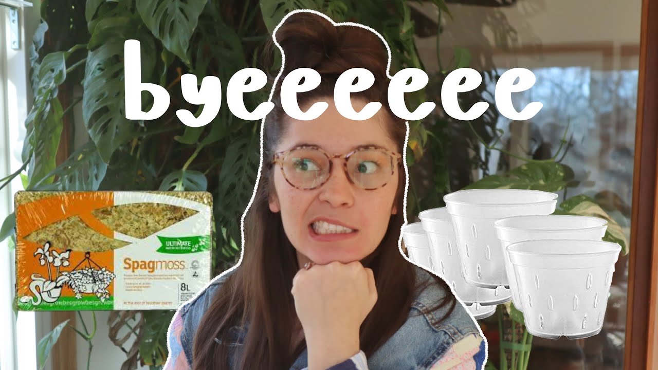 Houseplant Products & Supplies I Don't Buy Anymore!