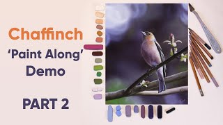 Chaffinch Paint Along REAL TIME Demo PART 2
