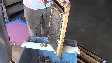 Honey Extraction - Part 3