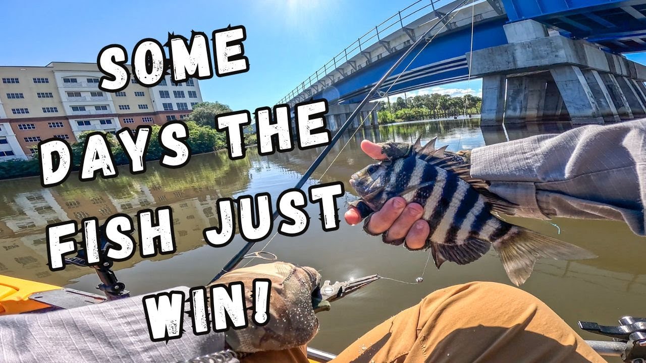 В некоторые дни рыба просто побеждает! Тяжёлый день на ручье!