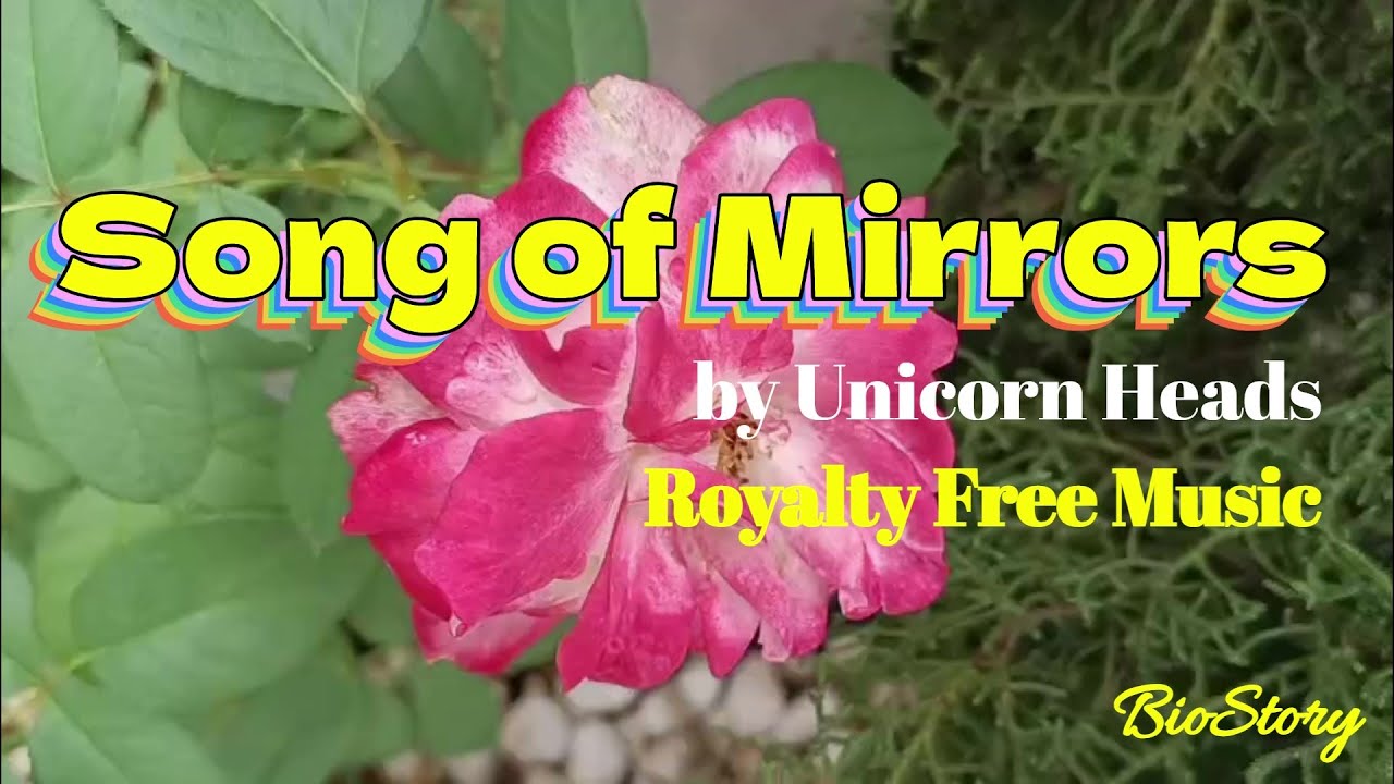Песня о зеркалах от Unicorn Heads [Музыка без авторских прав]