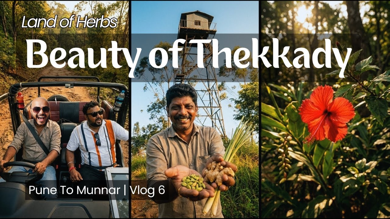 Inside Thekkady! Jeep Safari, Watch Tower Views & Border Road Experience | Roads with Shree