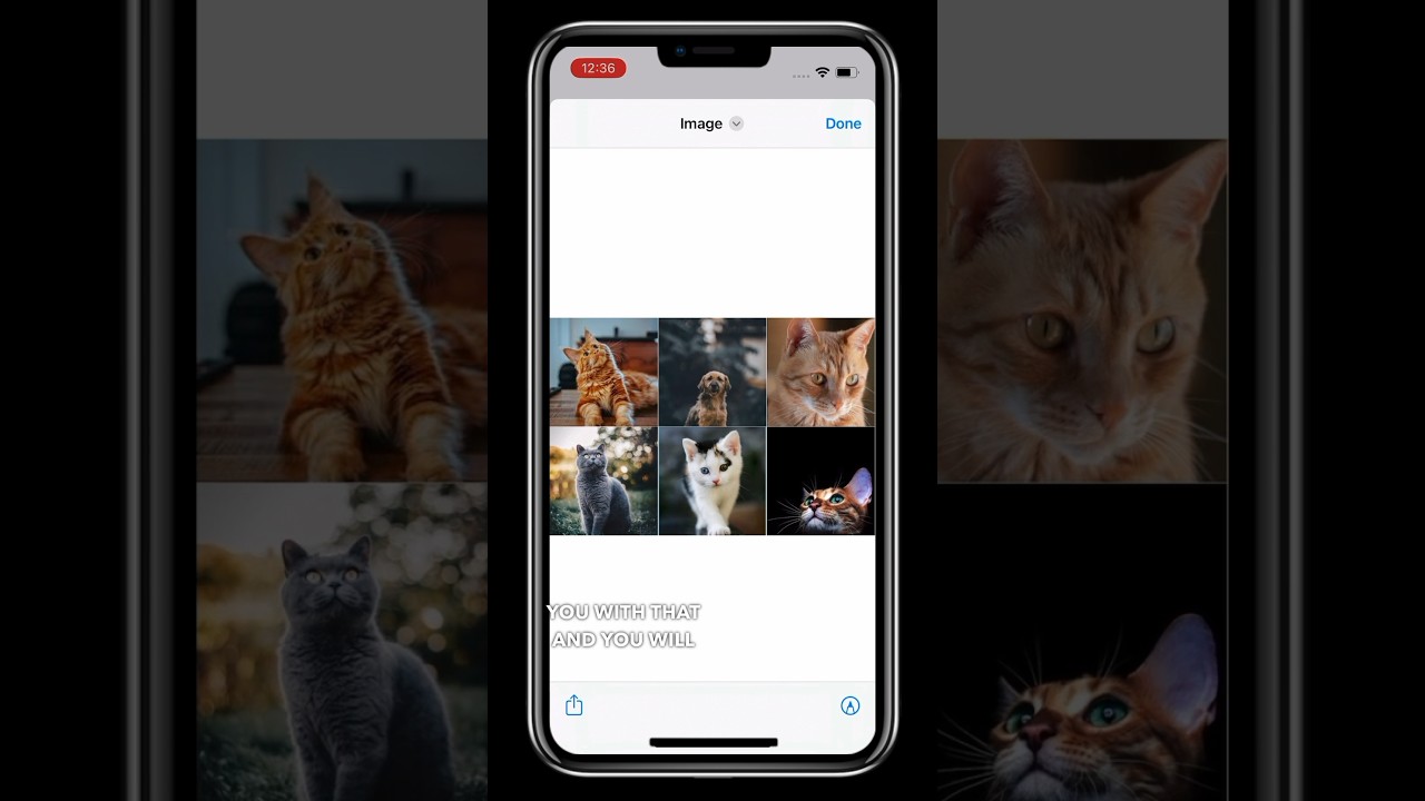 How to put all your pictures on one page, try this Grid 
