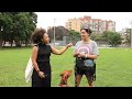 Are dogs taking over Toronto?