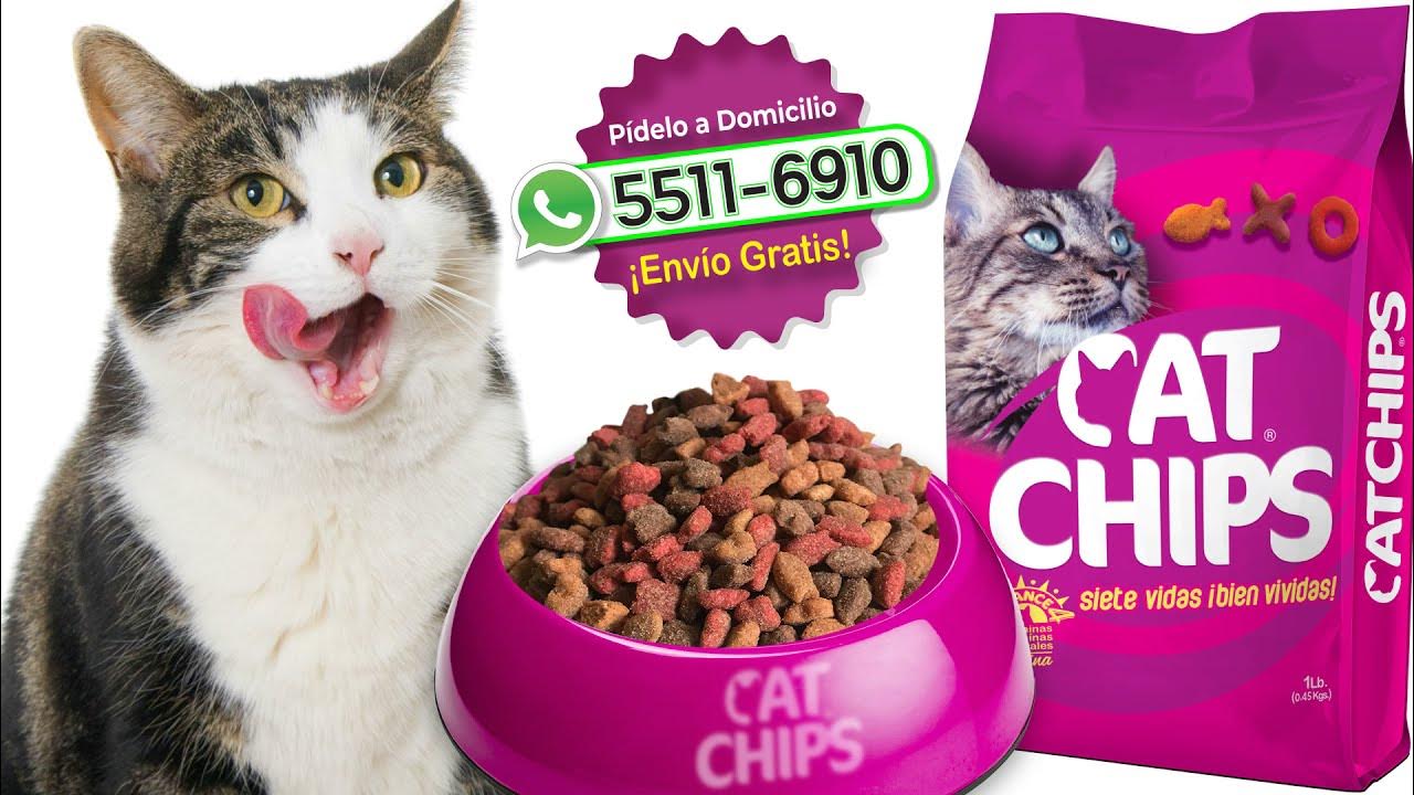Cat Chips Alimento para Gatos YouTube