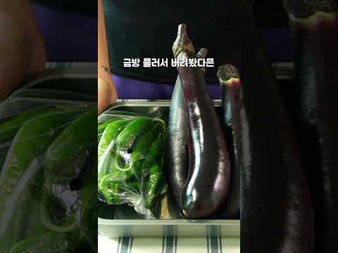 3주도 끄떡없슈 #shorts