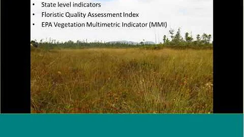 Wetlands Webinar 3-10-2016: New Tools to Assess Wetland Condition