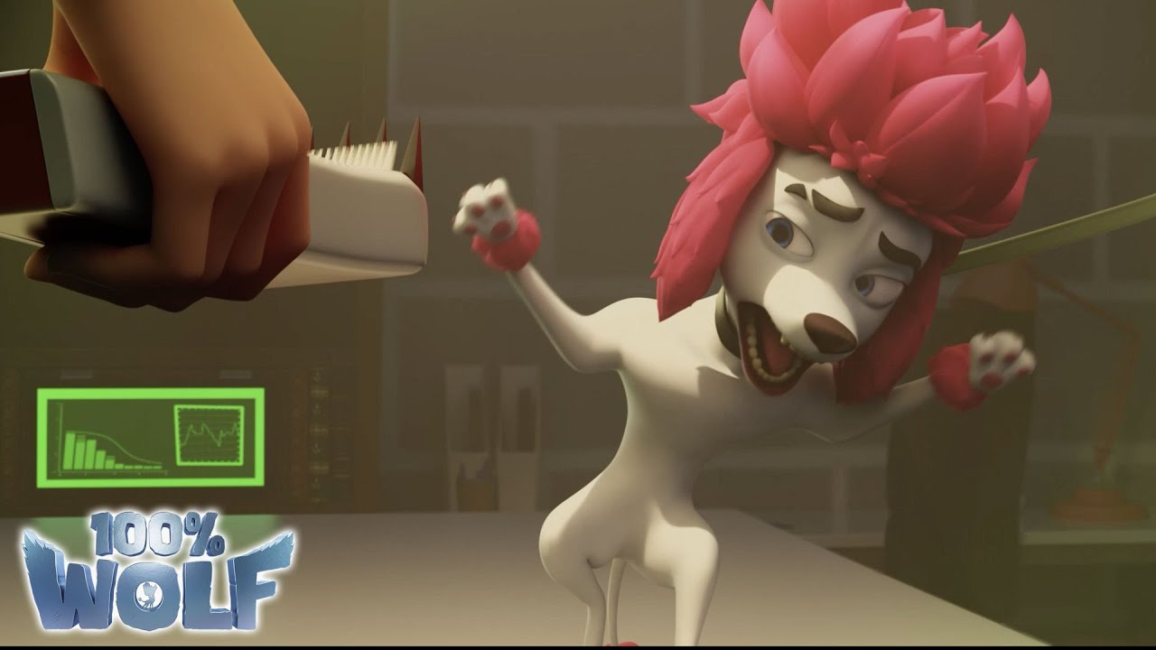 Freddie sitzt in der Falle! | Lustigste Momente 😂😂😂 | 100% Wolf🐺🐩