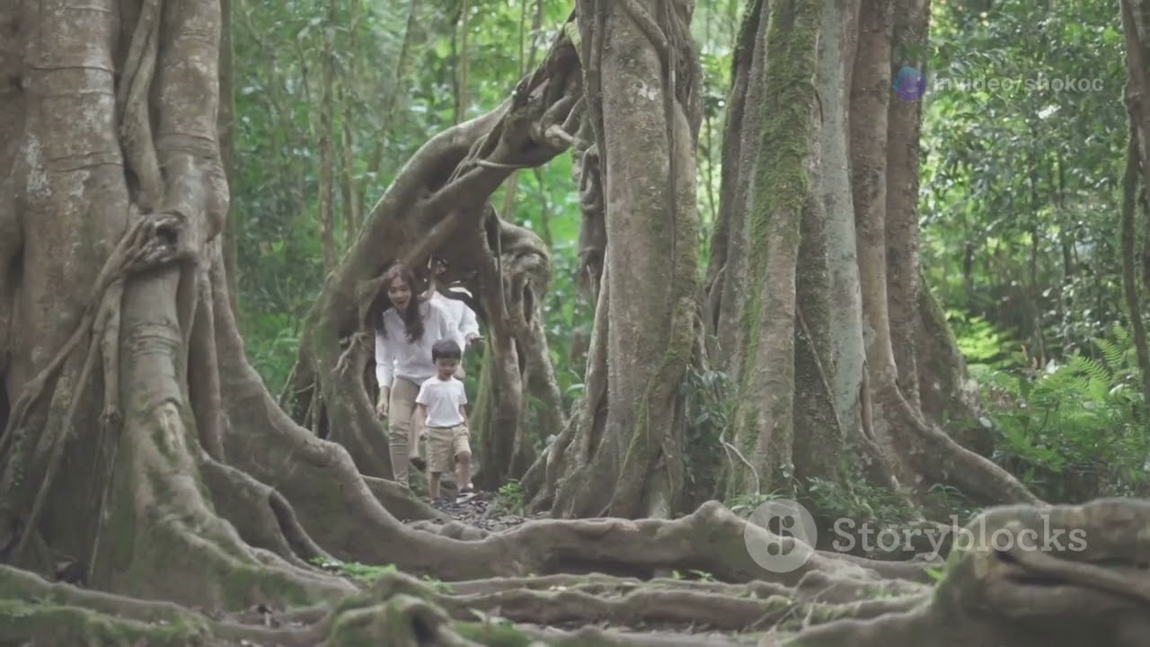 Discover the Untamed Beauty of Zimbabwe 2025