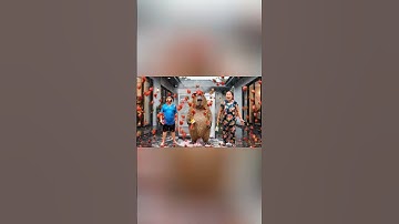 Capybara Cùng anh giúp bà rửa tủ lạnh và cái kết #capybara