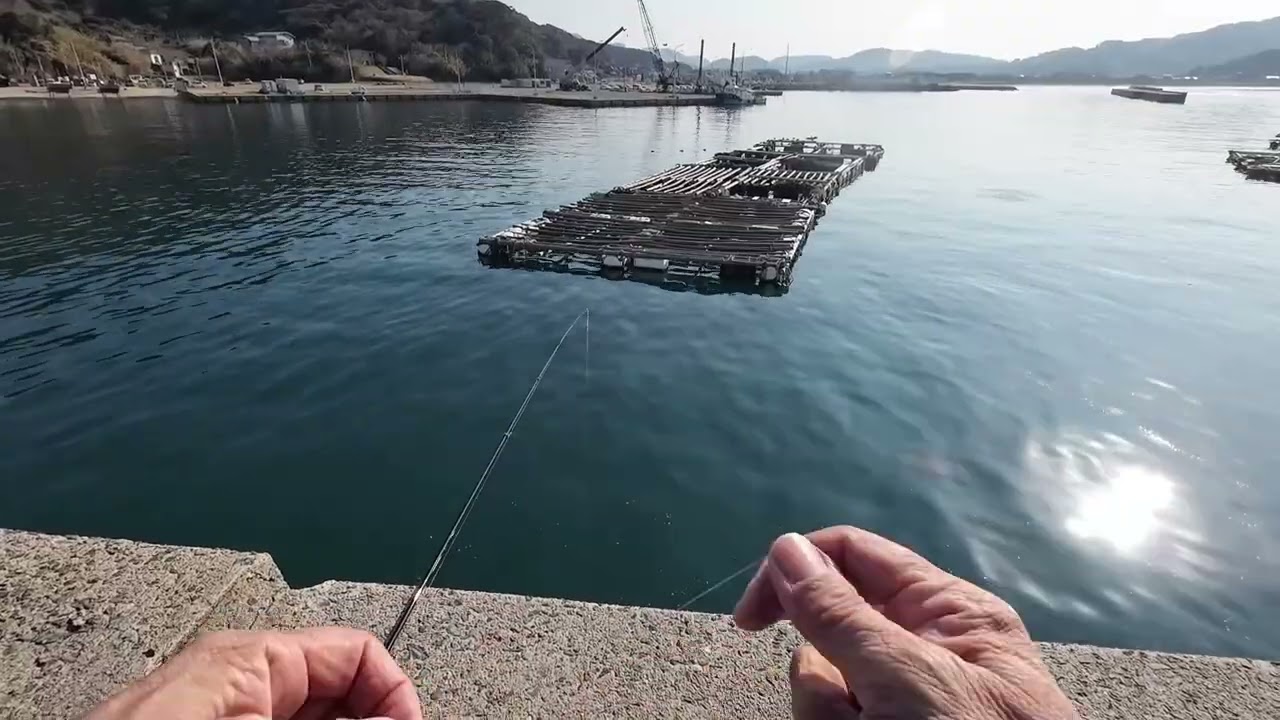 つばきんたろうのホームページ