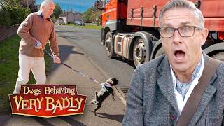 My 84-Year-Old Dad Can’t Walk The Dog Anymore – It’s Too Dangerous!