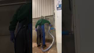 How To Set Up The Milking Parlor Before Milking.