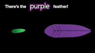 CVI Turkey Feather Colors