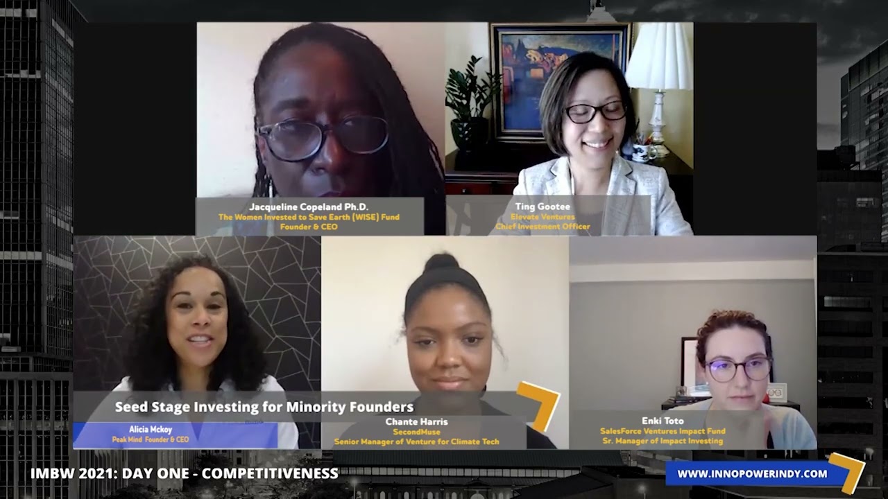 SEED STAGE INVESTING 