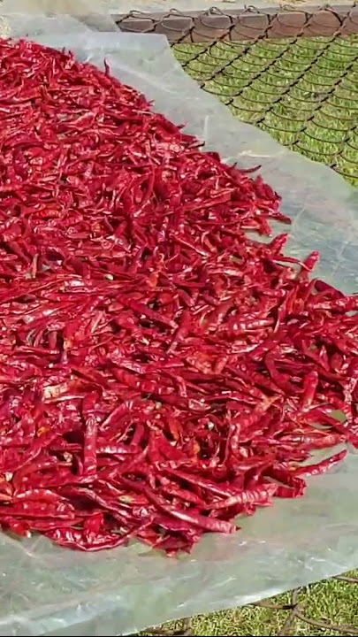🌶 🌶 🌶  #hot #spicy