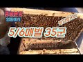 *63회((판매완료))영동에서 6매15군 5매20군 소개합니다