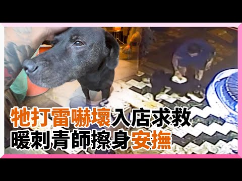 黑狗被雷聲嚇到逃跑走失 暖刺青師幫擦背、找家｜寵物｜歐告｜蒙古包