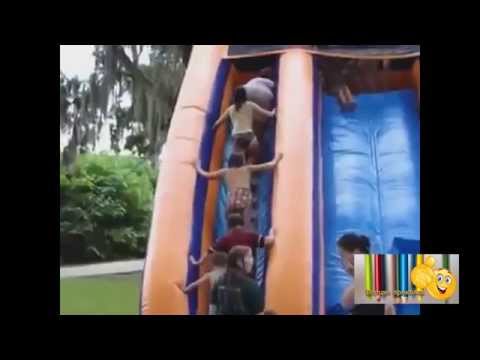 Видео Приколы с котами