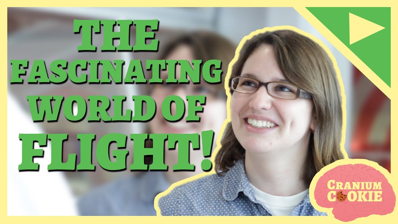 The Mechanics of Flight! | Cranium Cookie