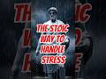 The Stoic Way to Handle Stress | Calm in Chaos