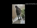 (FREE) BABY ON THE TRACK X DETROIT TYPE BEAT - “TRAPPERS”