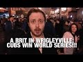 A Brit in Wrigleyville: Cubs Win the World Series