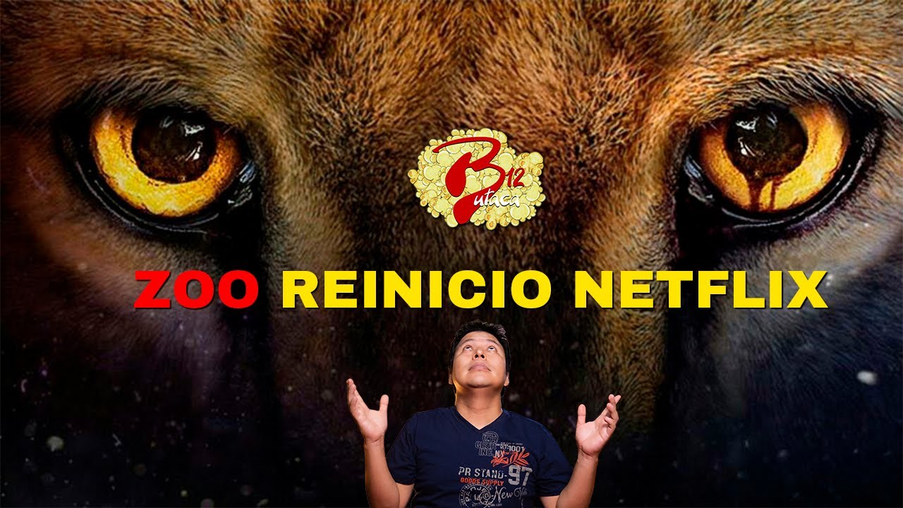 ZOO REINICIO NETFLIX YouTube
