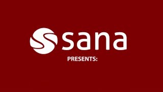 Sana Commerce - Sales Statistics screenshot 5
