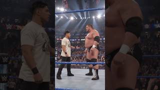 WWE fight 💪 #trending #wwe #usa #fight