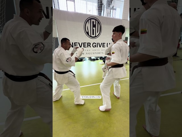 Baltic Fighting Camp 2026 #kyokushin #shinkyokushin #karate #1kyokushin #一極真 #極真会館