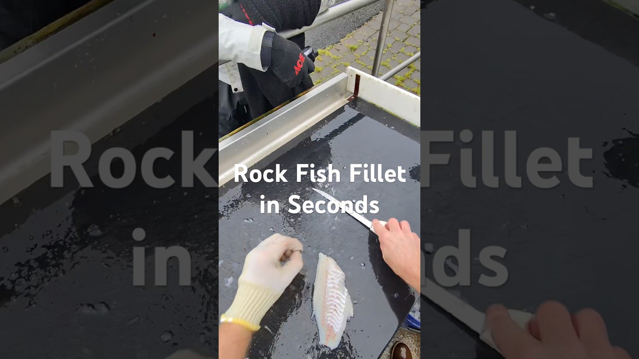 How to Fillet a Fish like a Master #fishing #howto #pnw #shorts #food