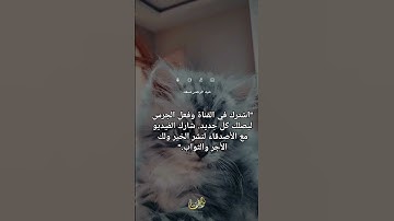 #تلاوة_خاشعة #تلاوة خاشعة تهز القلوب