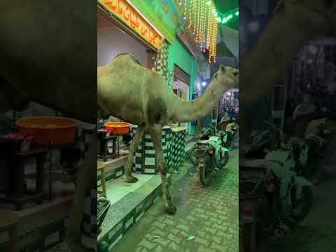 حطي خطي   اكسبلور 