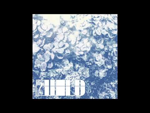 2DA3NO? - ?WILD