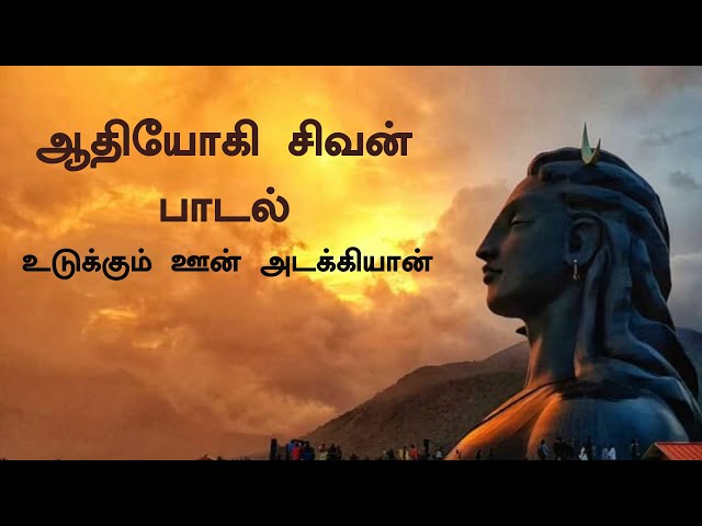 Ferro Network porno aktyorlari