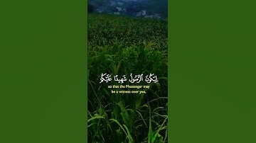 تلاوة خاشعة تريح القلب #elmulquranعلم #قران_كريم #تلاوة #المصحف #اكسبلور #trend #aslam #راحة_نفسية