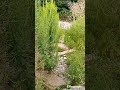 #красота #рекомендации  сложно спуститься...
