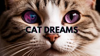 I Had a Dream About Cats: Symbolism and Hidden Messages"
