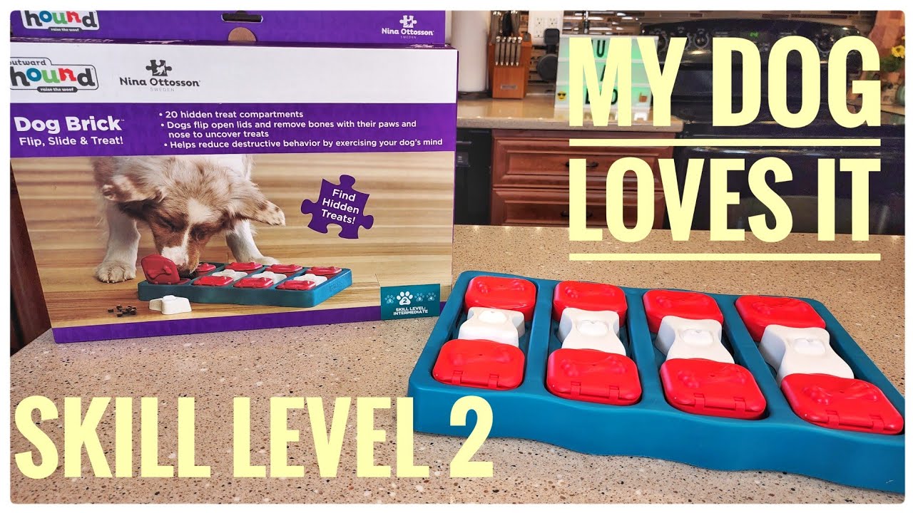 REVIEW Nina Ottosson Outward Hound Dog Brick Level 2 Treat Puzzle Dog Toy  Wag Training Treats 
