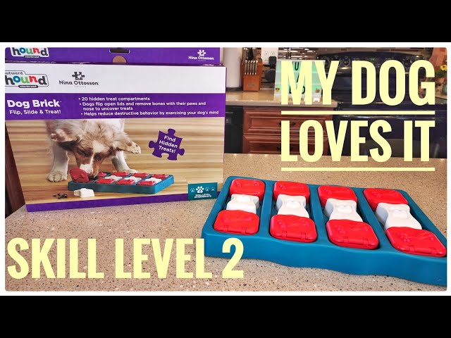 PUZZLE TOY LEVEL 2 DOG BRICK - Paws on Chicon