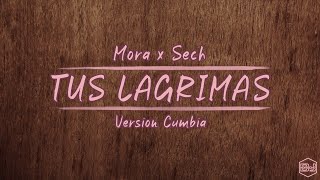 Mora, Sech - TUS LÁGRIMAS (Version Cumbia) Dj Kapocha