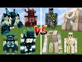 Iron golem vs warden at every age  minecraft mob battle